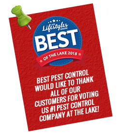 Pest Control Lake of the Ozarks | Best Pest Control | Pest 