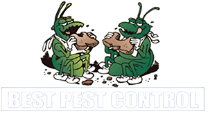 Best Pest Logo